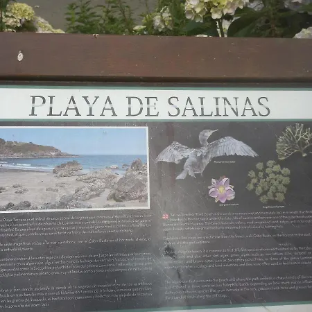 Luarcaplaya Plazas De Garaje Incluidas شقة *